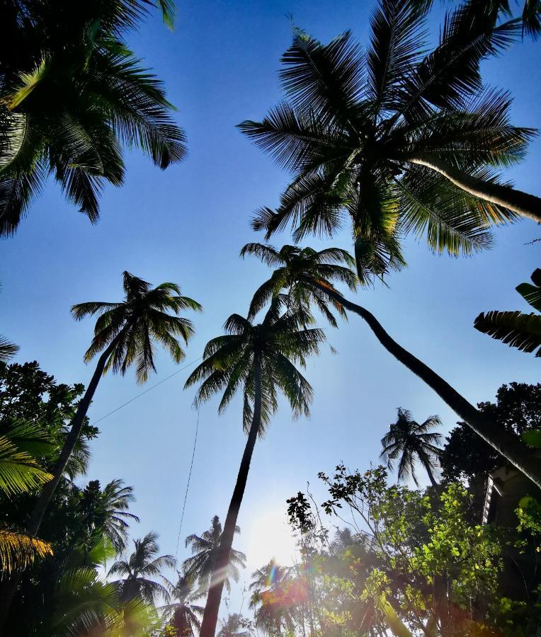 Isana Beach House Tangalle Eksteriør billede
