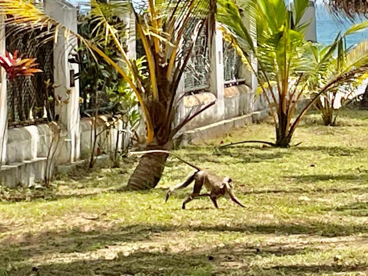 Isana Beach House Tangalle Eksteriør billede